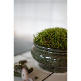 Kay Planter