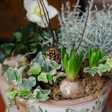 The Winter Duchess | Green & White Seasonal Planter