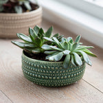Green ceramic textured bowl