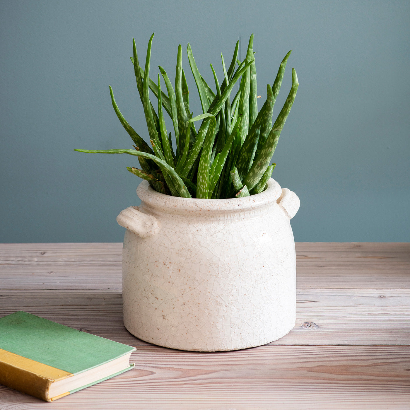 Chunky ceramic pot with handles