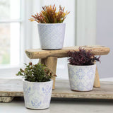 Powder blue mini plant pots