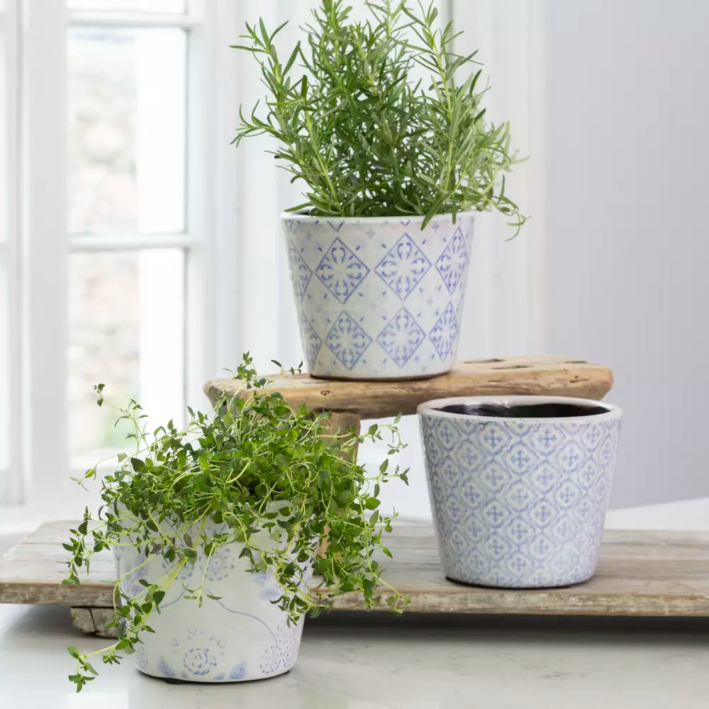 Powder Blue Dutch Plant Post