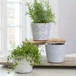 Powder Blue Dutch Plant Post