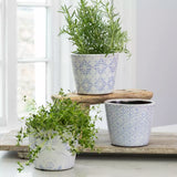 Powder Blue Dutch Plant Post