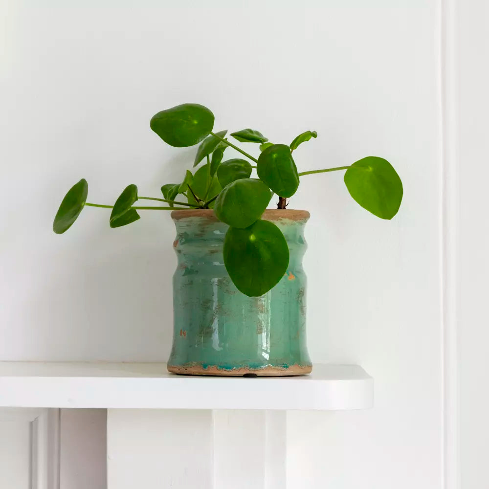 Turquoise ceramic vase