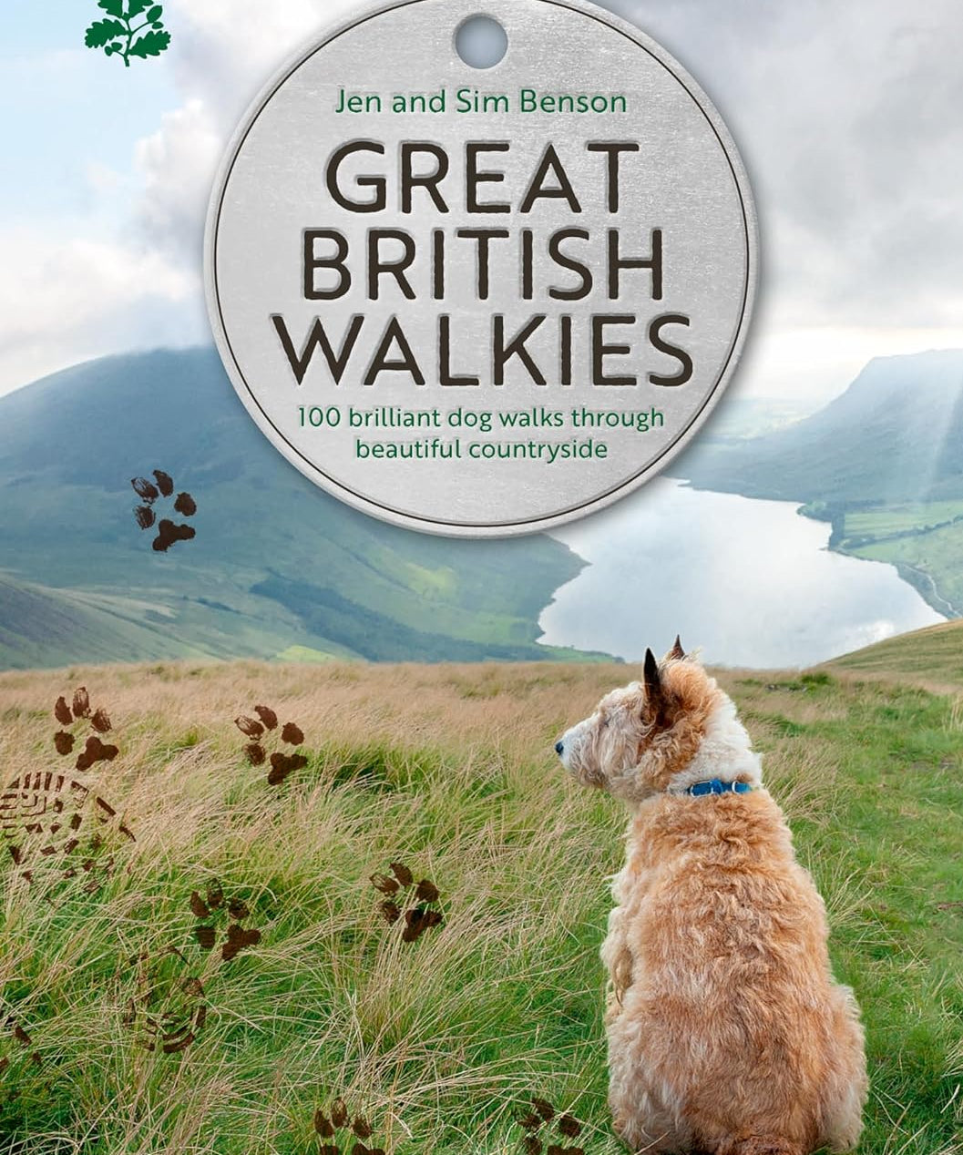 100 Best Dog Walks Across the UK
