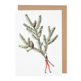 Laura Stoddart Spruce & Eucalyptus Christmas Cards (pack of 10)