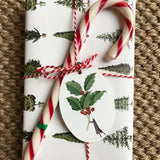 Laura Stoddart Christmas Trees Gift Wrap Sheet