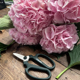 The Pretty in Pink | Luxury Pink Hydrangea Bouquet