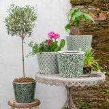 Old Style Dutch Pots Extra Large in Green