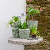 Old Style Dutch Pots Large in Green