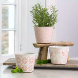 Pink Glazed Terracotta Dutch Plant Pots