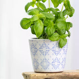Dutch Pots in Blue 14cm