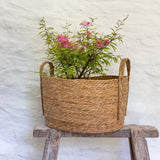 Oval Seagrass Basket with Handles
