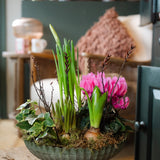The Winter Carnival | Colourful Seasonal Bulb Planter