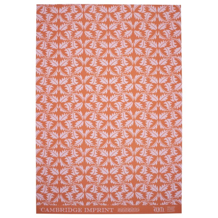 Rose and rust dandelion patterned paper gift wrap