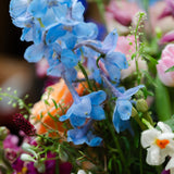 The Crowd Pleaser – Mother’s Day Vase Arrangement