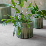 Nettleton Pot – Natural Textured Ceramic Planter