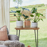 White Ceramic Ripple Plant Pot | Puro Lipped Gloss Planter