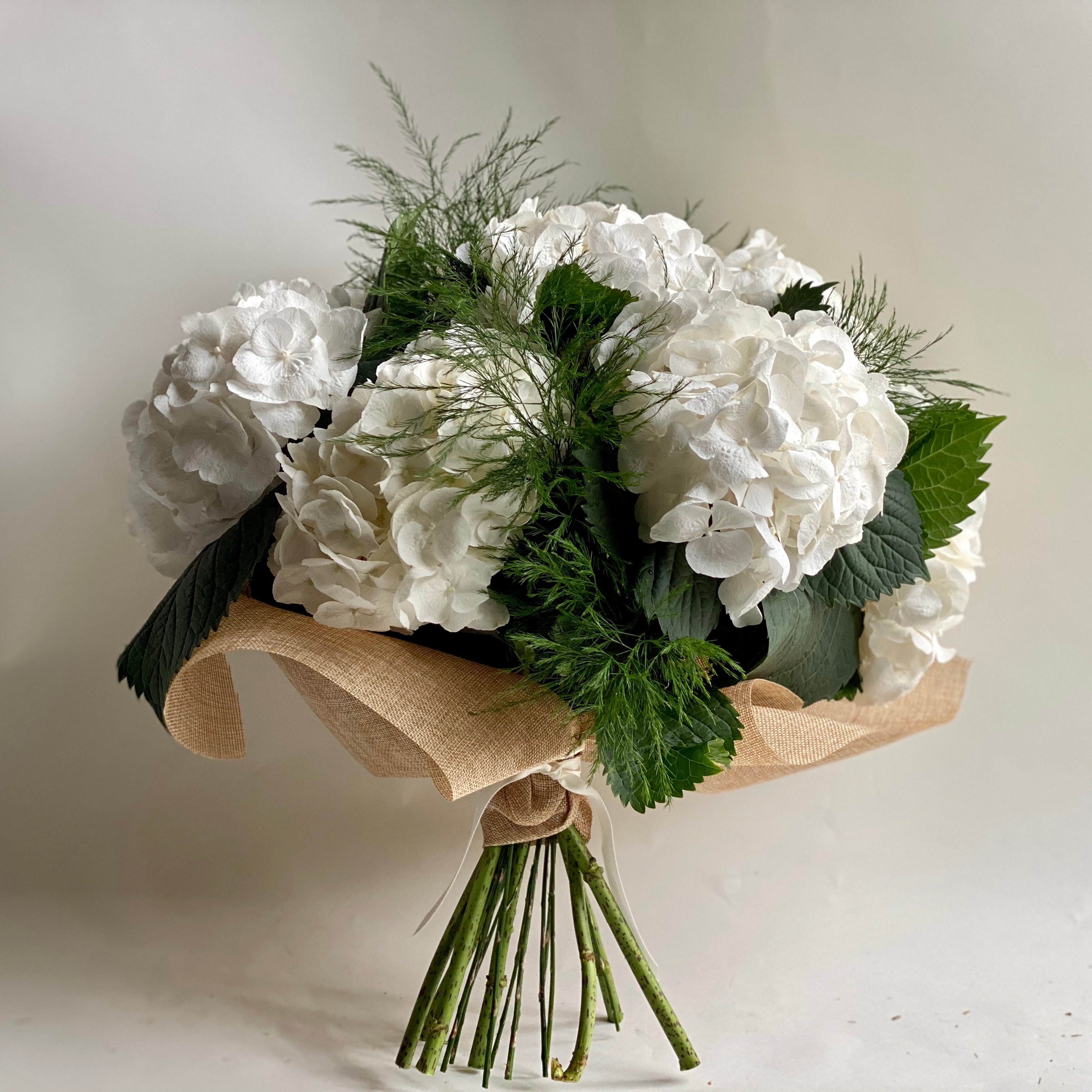 Luxury white hydrangea stems by Mad Lilies featuring large white hydrangea flower heads perfect for summer styling