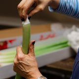 Christmas Amaryllis Stems – Luxury Box of 12 fresh stems