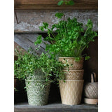 Veda Midi Pots - Beige