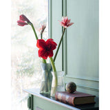 Noomi clear glass vase