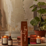 Plum & Ashby Sitting Room Reed Diffuser – Green Sandalwood & Fern