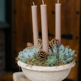 Joy & Peace Succulent Compote