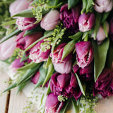 Luxury Tulips En Masse