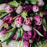 Luxury Tulips En Masse