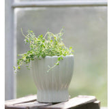 Hedvig White Porcaline  Pot
