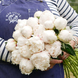 White Peonies En Masse
