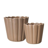 Beige plant put with scalloped rim