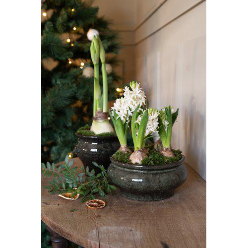Green china planter