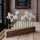 Flower Stem Keeper – Effortless Display for Seasonal Flowers at Home