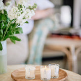 Aery Botanical Mini Candle Gift Set featuring Fig Leaf, Bonsai Tree and Citrus Tonic plant-based scented candles in luxury recyclable gift packaging.