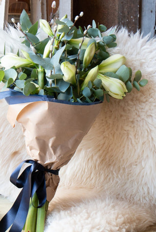 Amaryllis En Mass Gift Wrap