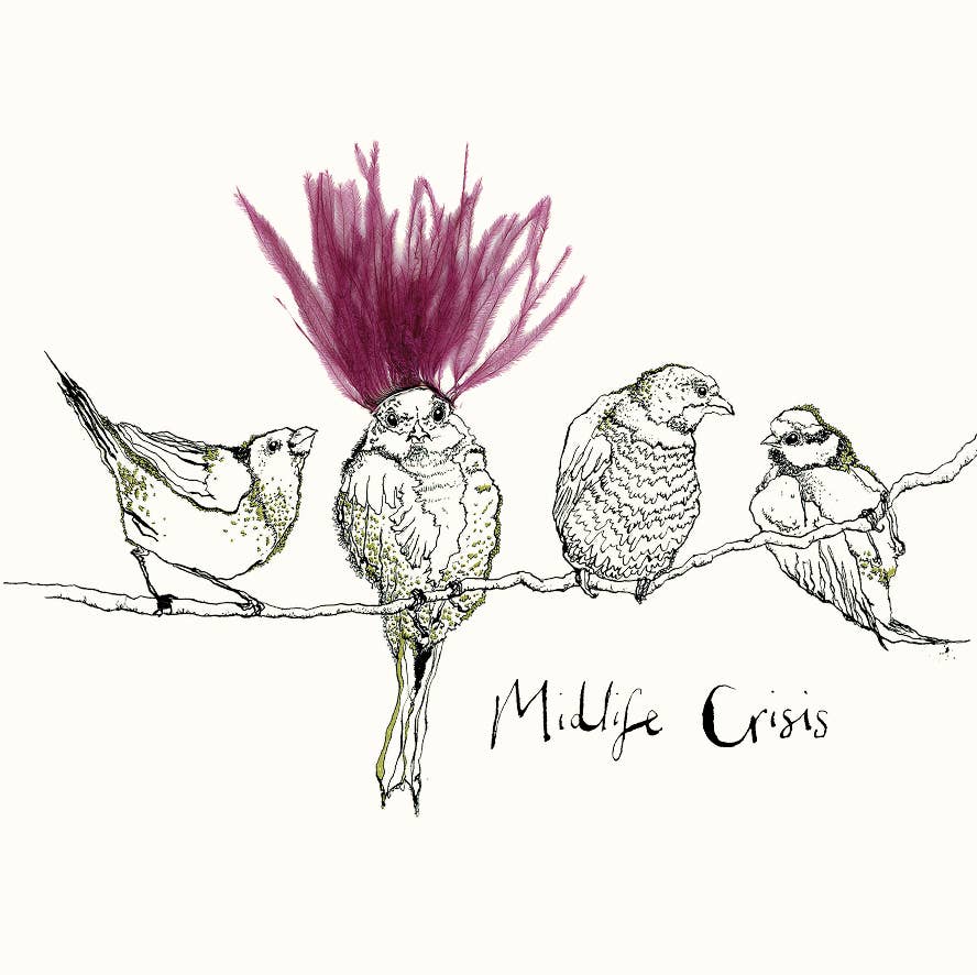 Anna Wright Midlife Crisis greetings card featuring a group of illustrated garden birds, one with a rebellious hairstyle, on premium FSC-certified card.