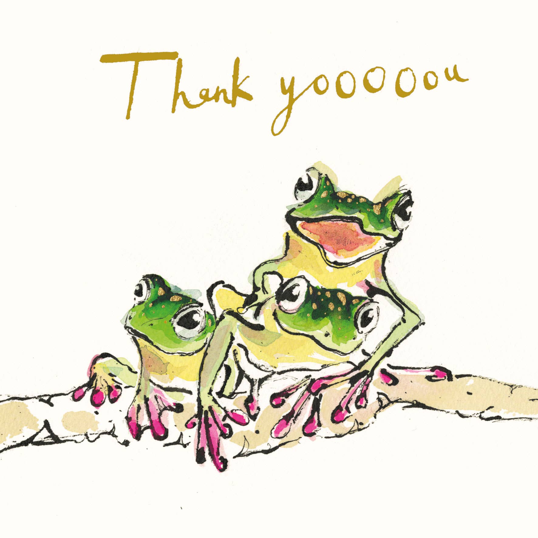 Anna Wright Thank Yooooou Frog thank you card featuring three cheerful frogs with gold foil detailing and the handwritten message "Thank Yooooou" on premium FSC®-certified card.