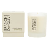 Branche d’Olive Garrigue boxed scented candle in frosted glass