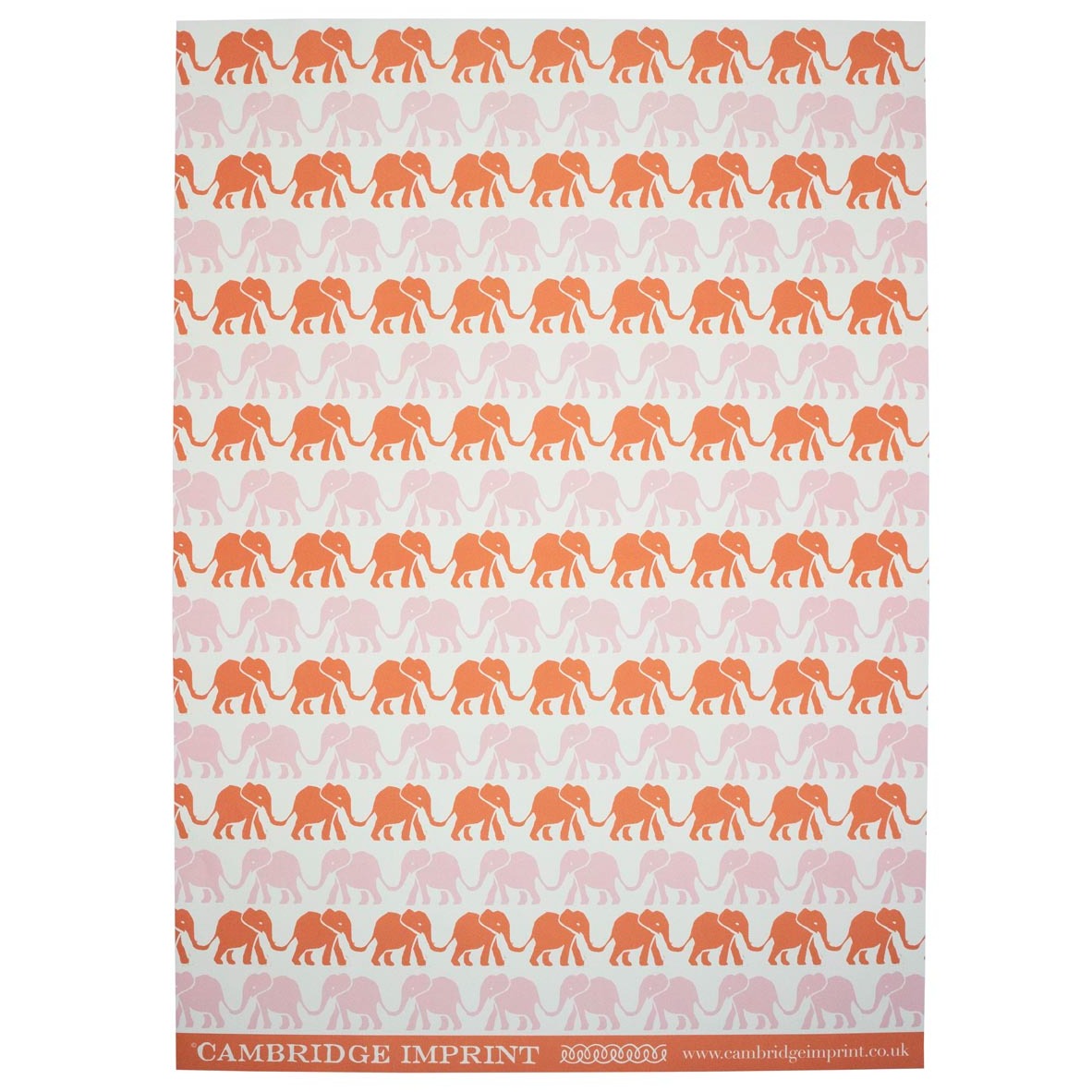 Shop Cambridge Imprint Elephant wrapping paper featuring a colourful marching elephant design. Luxury matte gift wrap printed in England.
