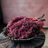 Natural dried pink pepperberry stems for Christmas wreath making and floral arrangements