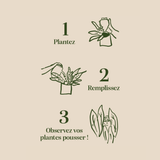 Pepin Terracotta Olla | Self-Watering Terracotta Plant Watering System