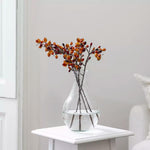 aux Barberry Berberis branch with natural stems and berry clusters