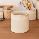 Fernham textured glazed earthenware canister, available in small and medium sizes for storage or styling around the home.