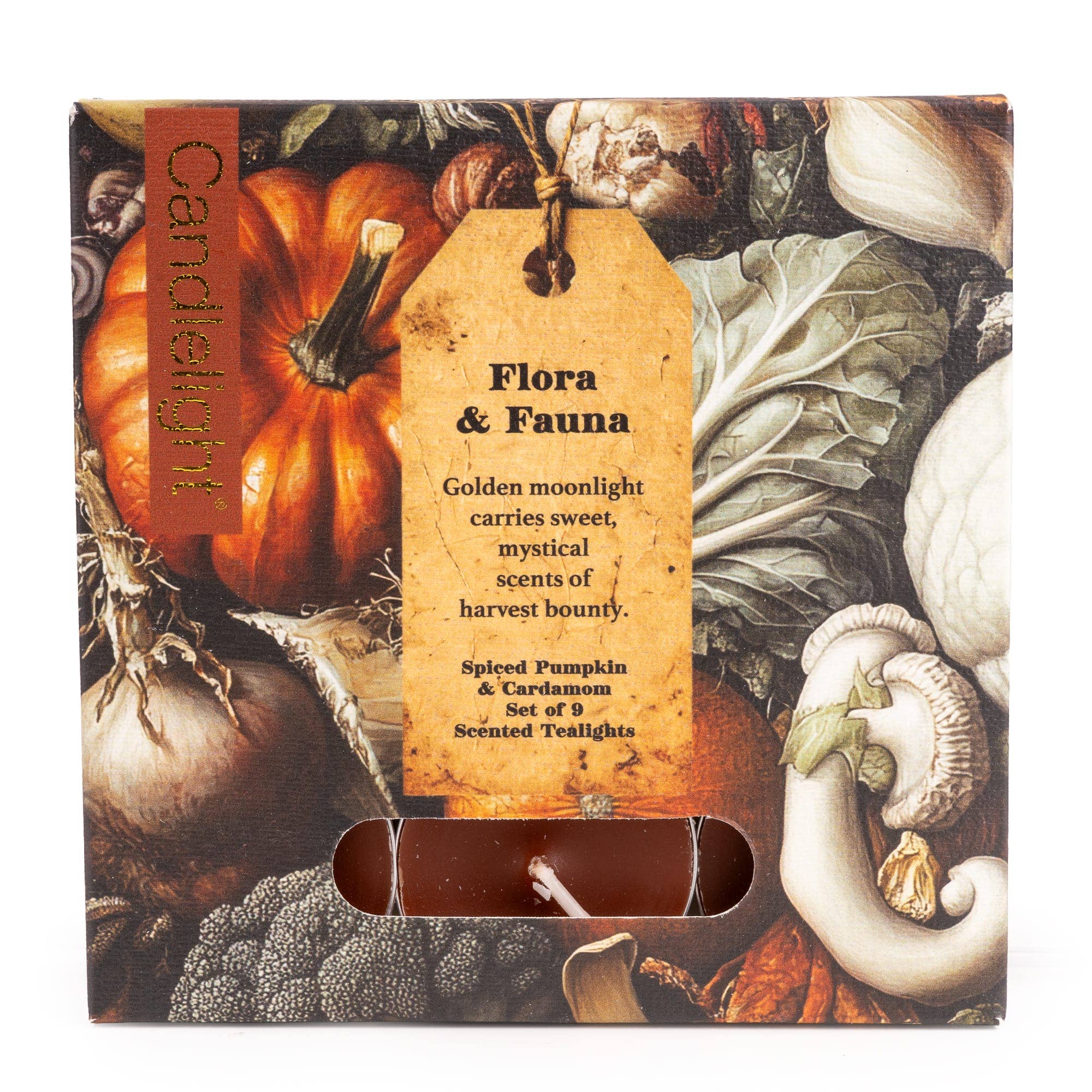 Set of nine Flora and Fauna Spiced Pumpkin and Cardamom orange tealights in illustrated autumn packaging
