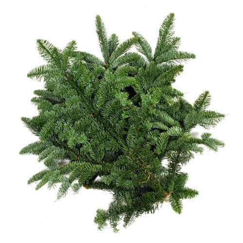 Fresh green pine foliage bundle for Christmas wreath making, garlands and natural festive decorating.