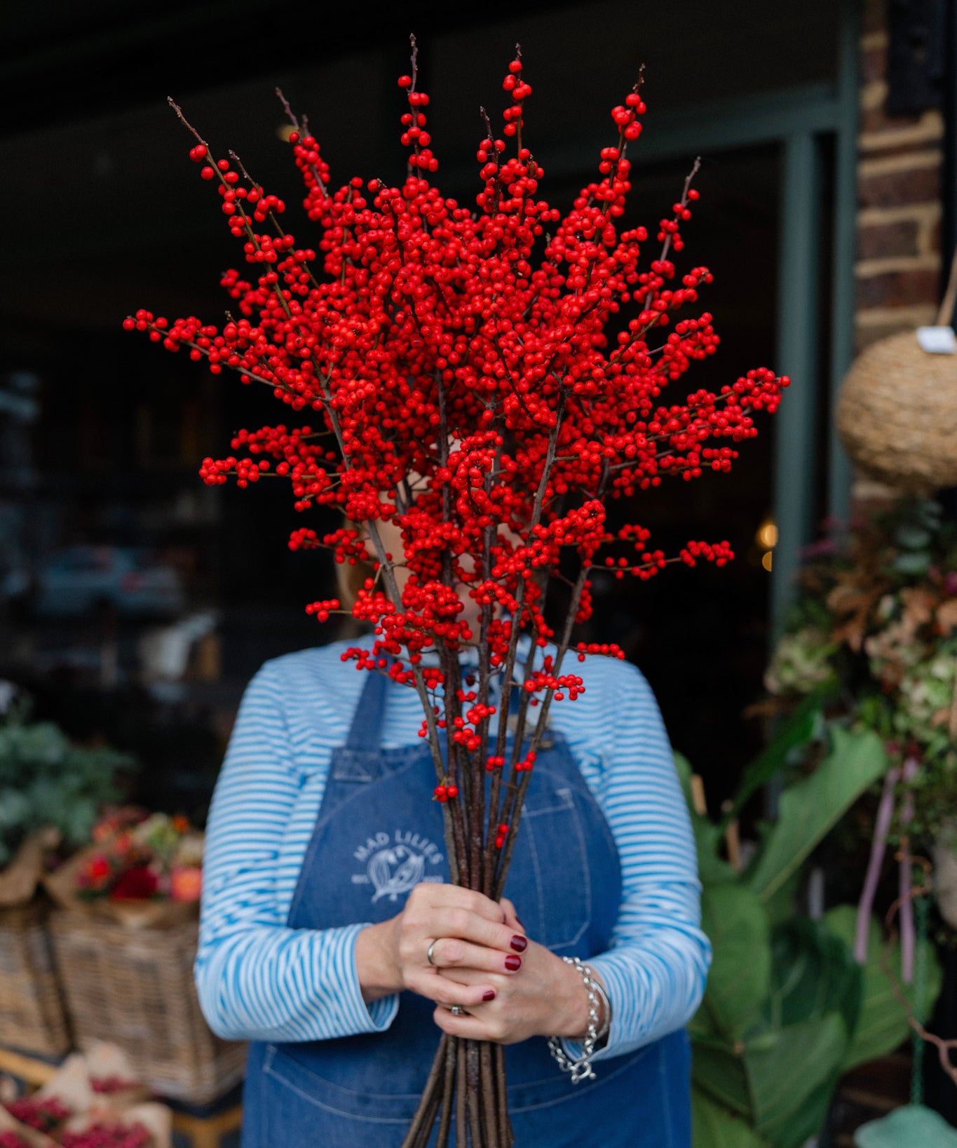 Fresh red Ilex Winterberry stems with vibrant red berries on tall 70–80cm branches.