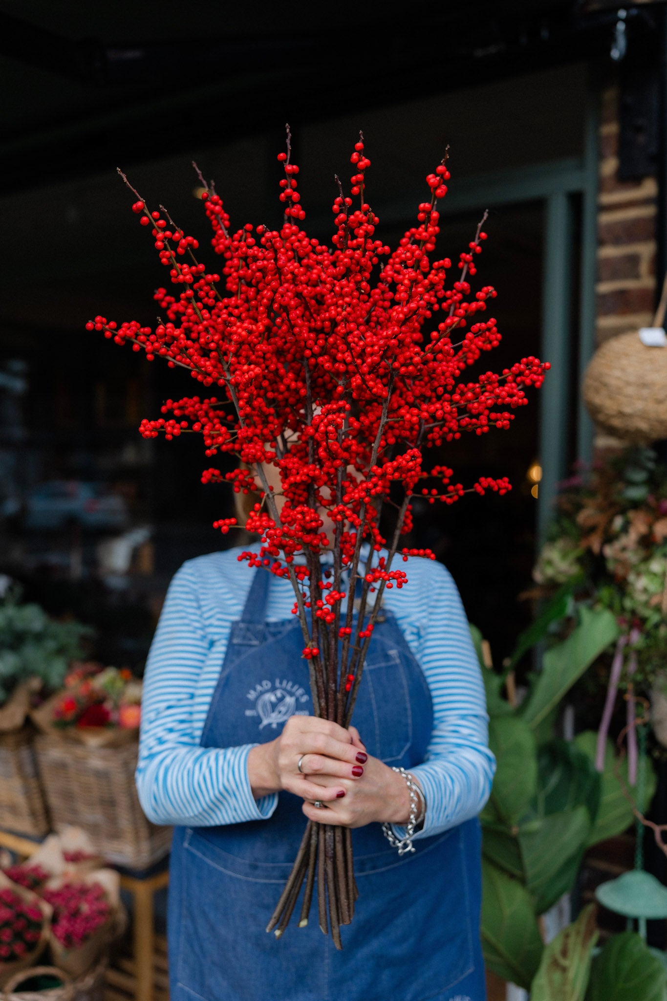 Fresh red Ilex Winterberry stems with vibrant red berries on tall 70–80cm branches.